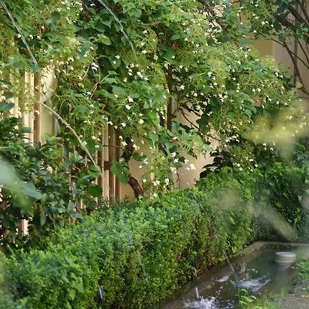 剧院博物馆酒店 酒店